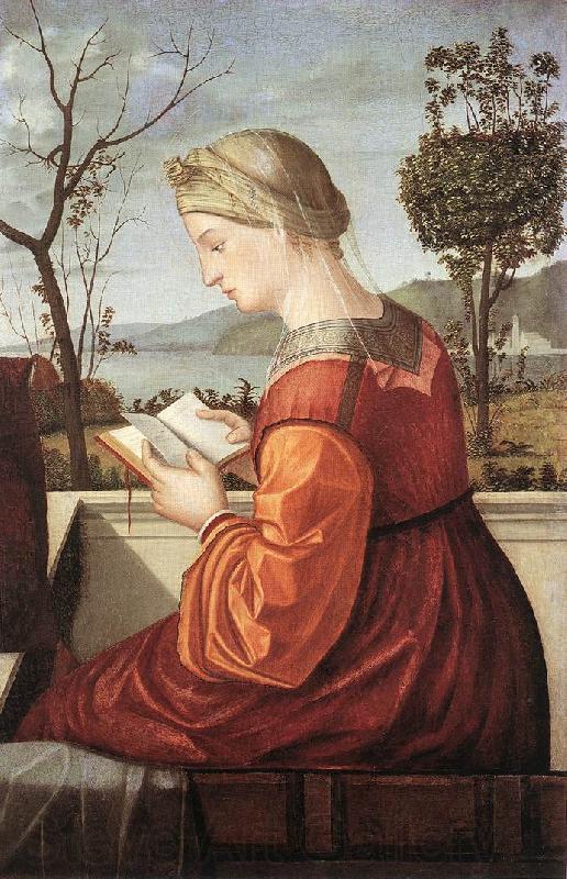 CARPACCIO, Vittore The Virgin Reading fd